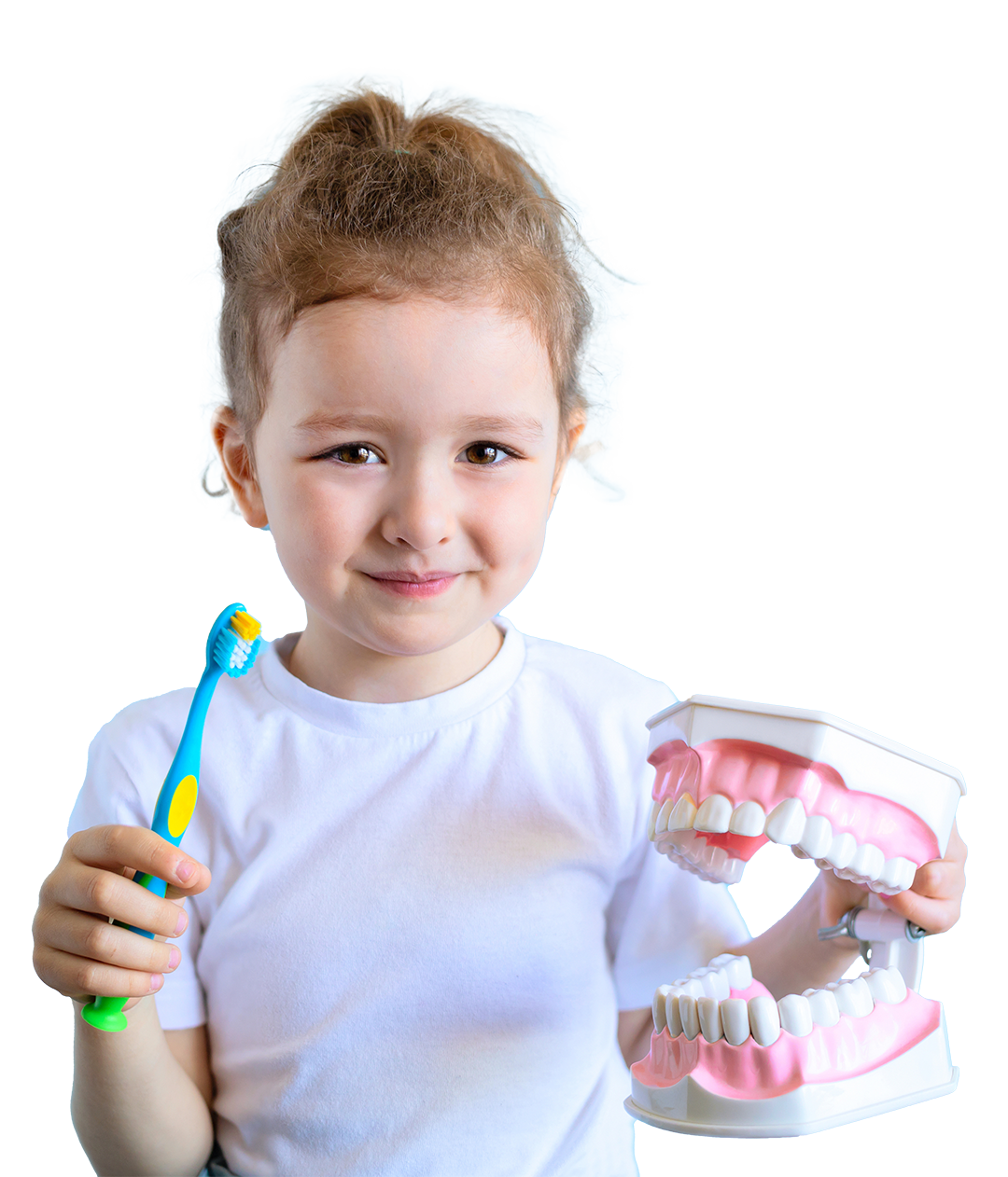 Pediatric Dental Care in Alabaster. A happy child holding up a tooth brush and a model of teeth.